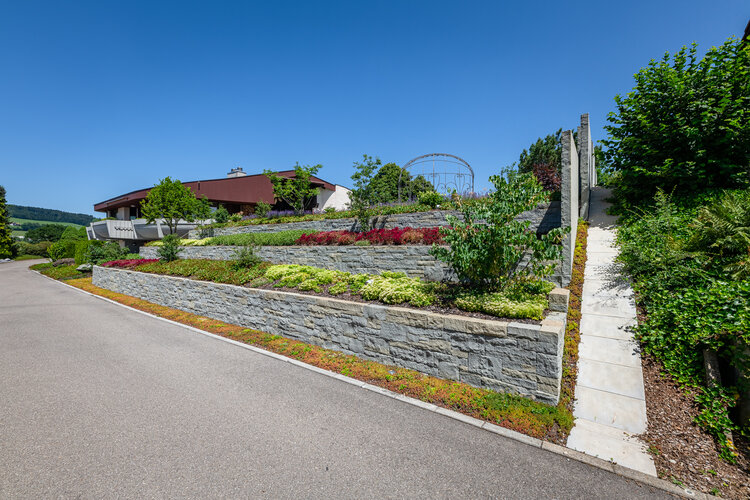 terrassierter_garten_mit_natursteinmauern_sandstein_bepflanzung_und_modernem_haus_im_hintergrund