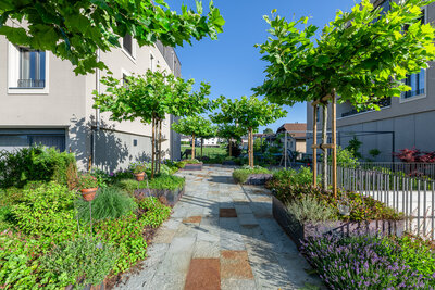 gepflegter_gartenweg_luserna_natursteinplatten_mit_laubbäumen_pflanzbeeten_und_modernem_gebäude_im_hintergrund