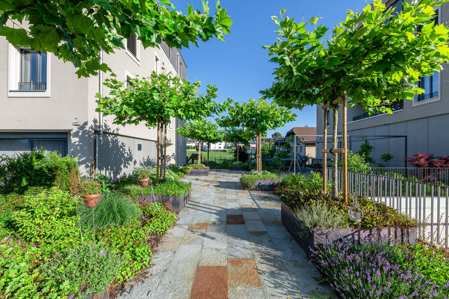 garten_mit_platz_und_allee_von_baeumen_und_natursteinplatten_von_naturastein_zell