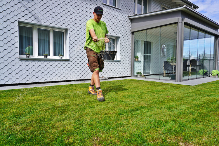 Rasen_düngen_grüner_rasen_vor_einfamilienhaus_mit_gärtner_an_der_arbeit