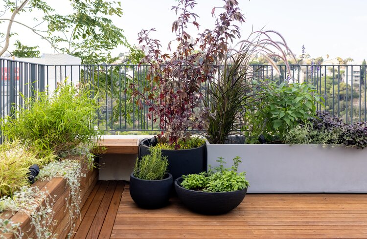 terrasse_mit_holzrost_und_pflanzkübel_bepflanzt_mit_pflanzen