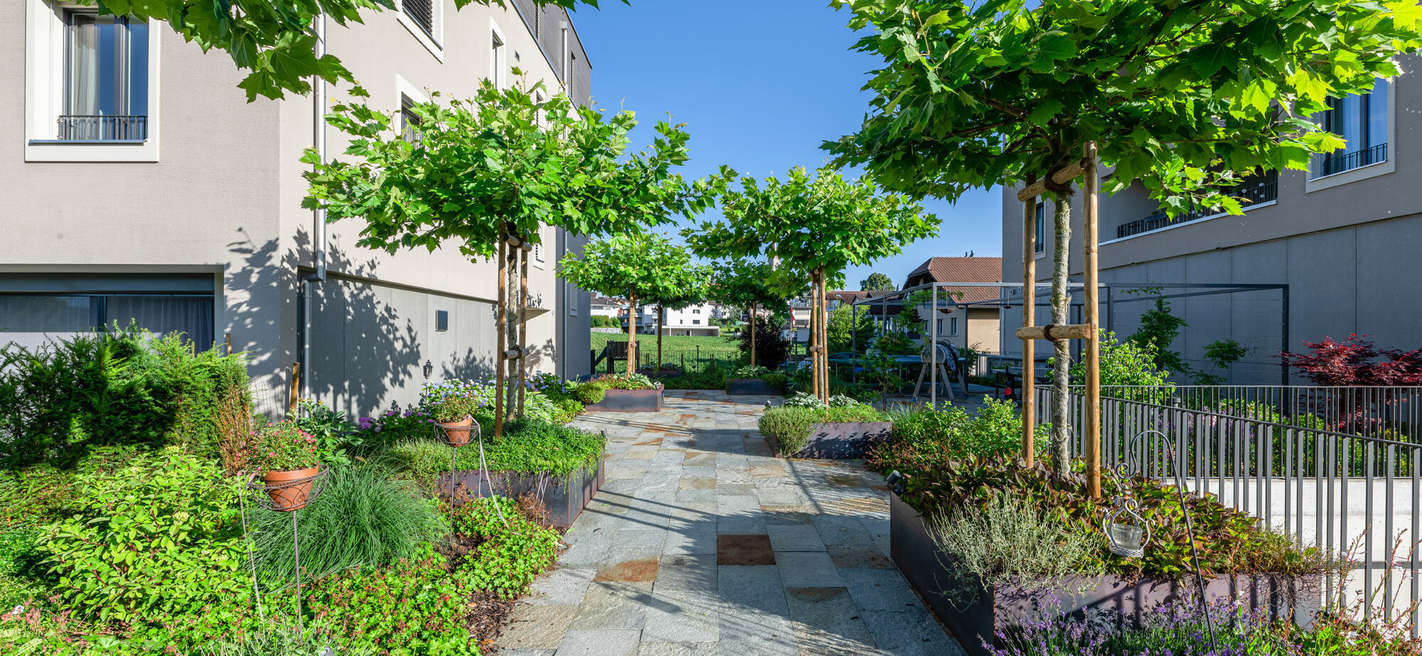 garten_mit_platz_und_allee_von_baeumen_und_natursteinplatten_von_naturastein_zell