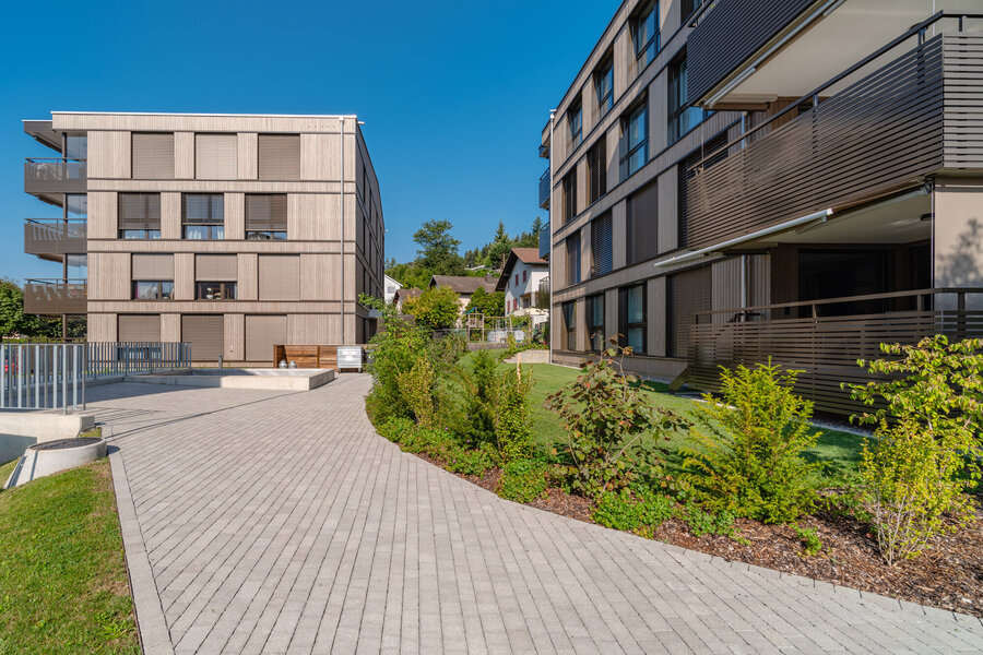 moderne_siedlung_mit_gehweg_freida_wildpflaster_creabeton_und_gartenflächen_mit_pflanzen_haller_oftringen_vor_wohnungen